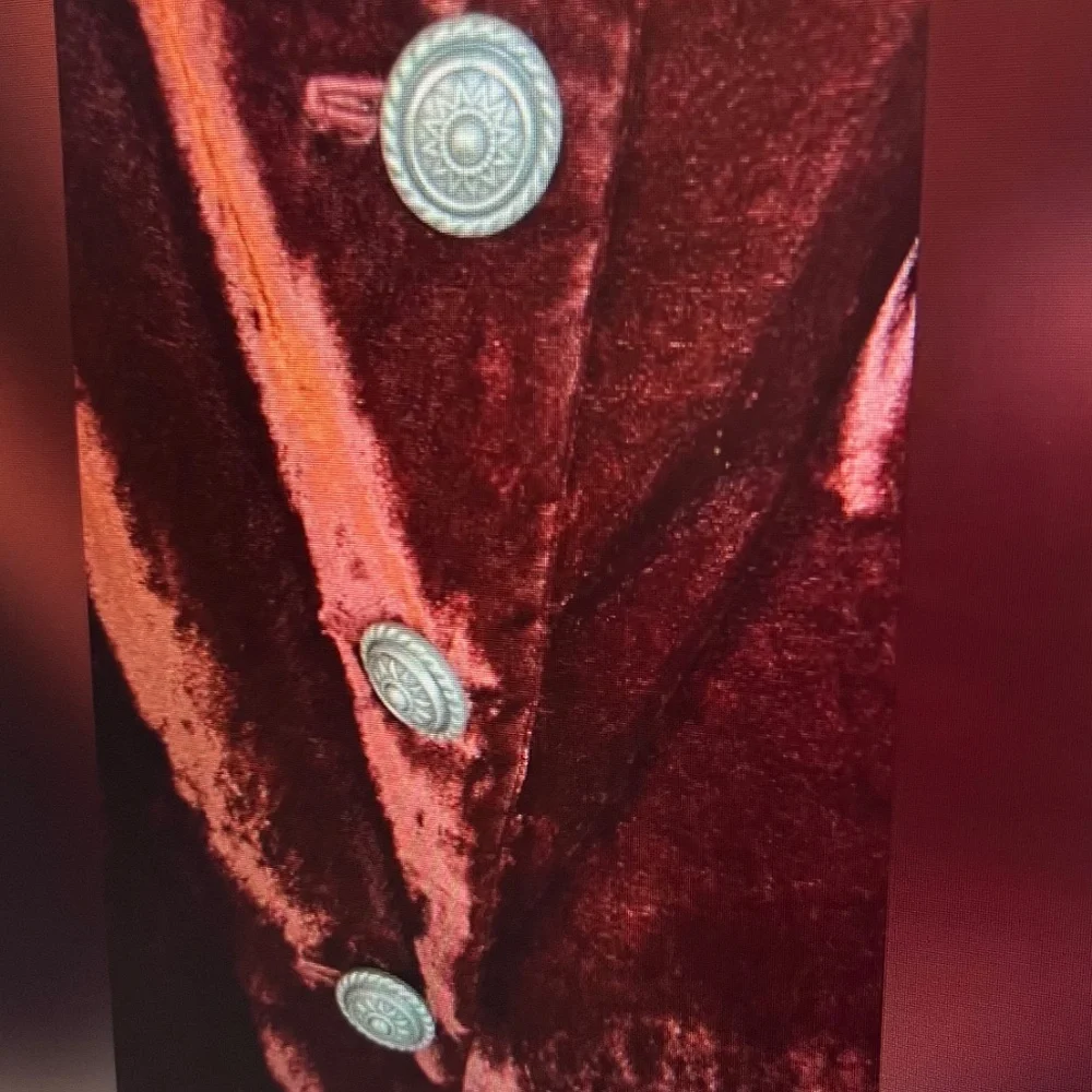 Double D Ranch Velvet Jacket - Picture 3 of 5